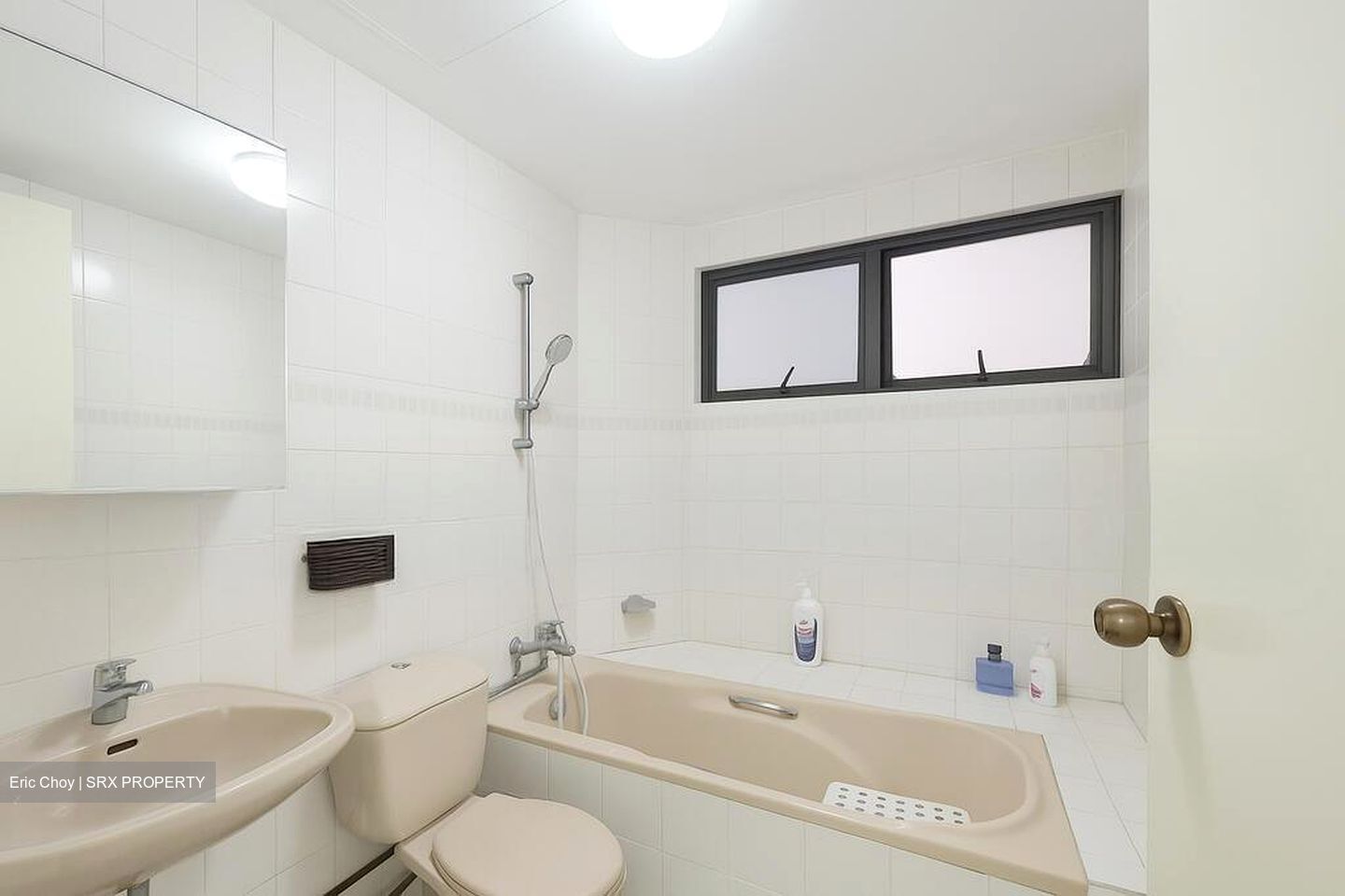 Bayshore Park (D16), Condominium #500637671